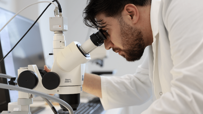 Prepregs im Fokus: Der Schl&uuml;ssel zu pr&auml;zisen Lagenaufbauten