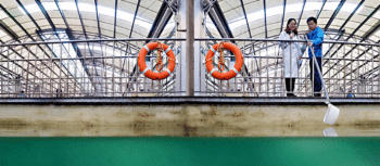 NCAB Group Sustainability Report 2017