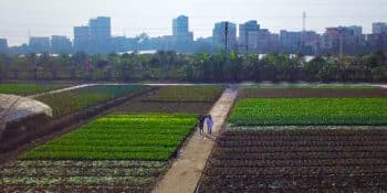 A film about our sustainable business