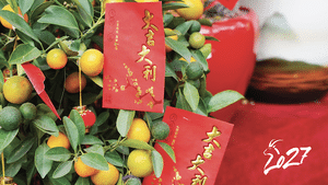 Chinese New Year 2027 &ndash; time to prepare