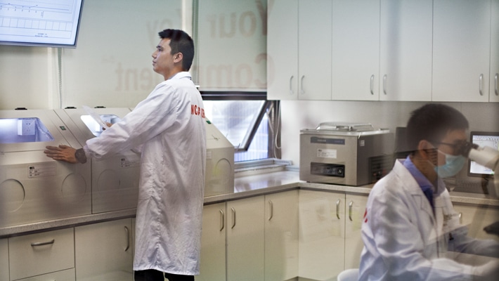 Andy Dai (standing) and Star Ye, Lab Technicians at NCAB Factory Management working in the NCAB Group lab at the Chinese office.