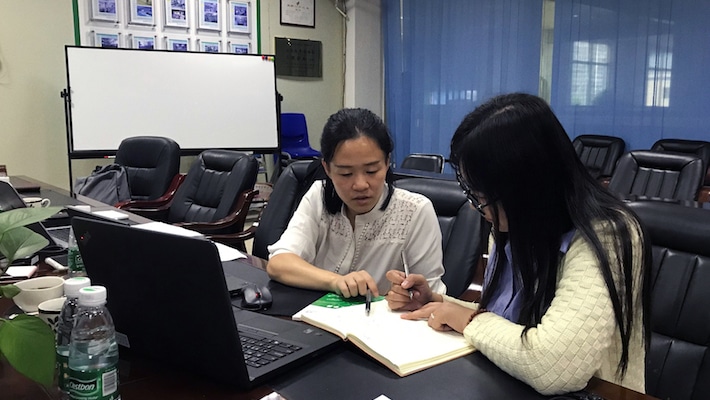 Reviewing document during an sustainability audit.