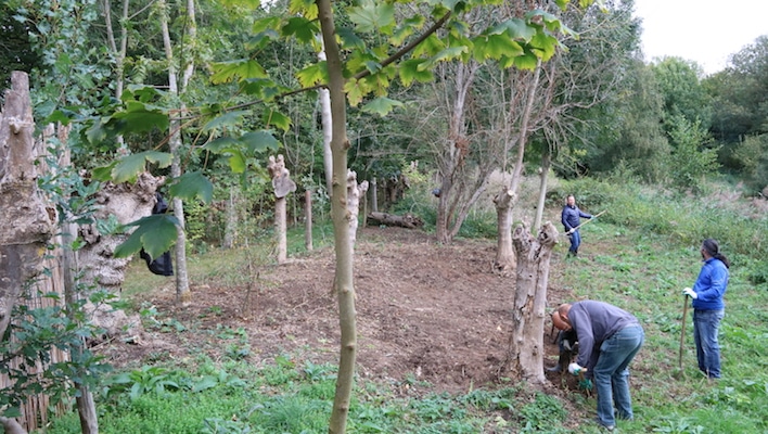 Cleaning in a natural reserve - NCAB Group Benelux during their give back day.